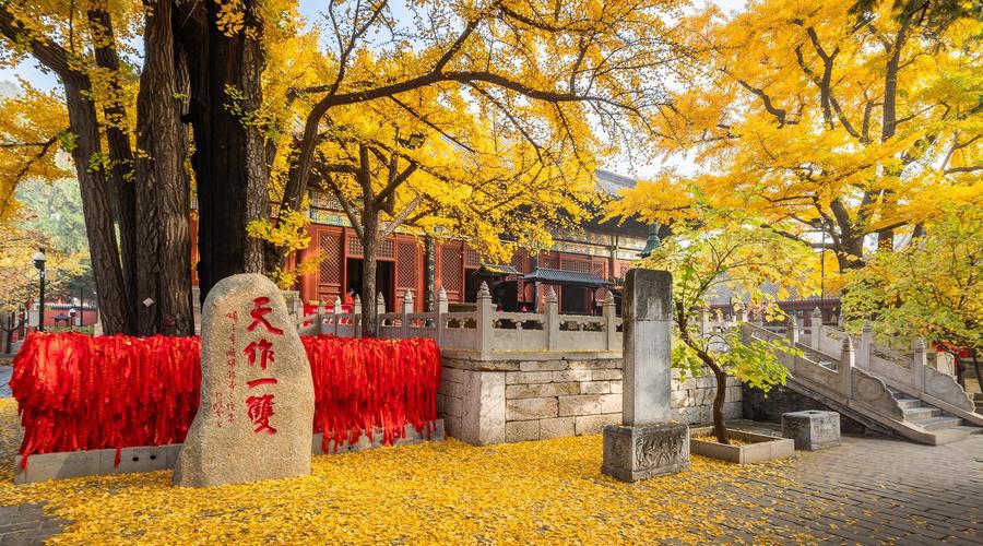 Hongluo Temple